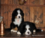 k red k green 8weeks