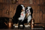 k red k green 8weeks 5