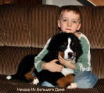 nandor 11weeks