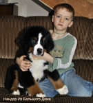 nandor 11weeks 1