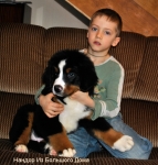 nandor 11weeks 3