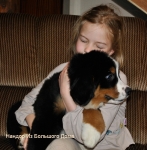 nandor 11weeks 4