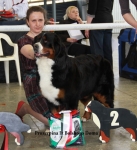 prozerpina 2 place 1