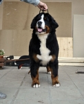 1 year 5