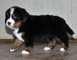 5 weeks 9
