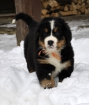 7 weeks 10