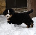 7 weeks 9