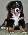 hilda 10 weeks 8