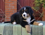 hilda 11weeks 4