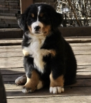 hilda 9weeks