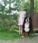fester masha 3