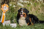 bob 2years 1