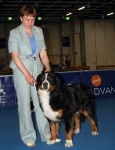 evropa 2006