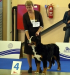 evropa 2010
