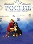 best puppy1 