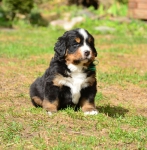 5 weeks 8