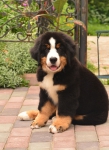 12 weeks 2