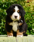 5 weeks 2