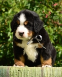 5 weeks 8