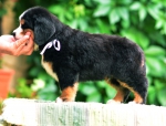 6 weeks 5