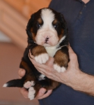 m 3 weeks