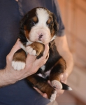m 3 weeks 
