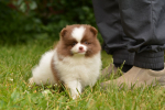 7 weeks 1