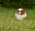7 weeks 10