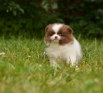 7 weeks 8