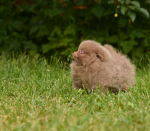 7 weeks 2