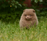 7 weeks 5