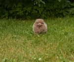 7 weeks 7