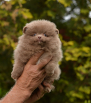 7 weeks 9