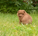 7 weeks 1