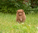 7 weeks 2