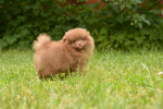 7 weeks 5