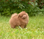 7 weeks 7