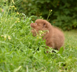 9 weeks 7