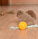 7 weeks 3