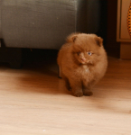 7 weeks 2