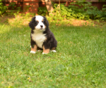 7 weeks 10