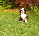 7 weeks 5