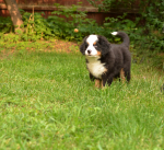 7 weeks 7