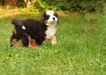 7 weeks 9