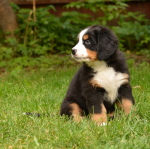 7 weeks 1
