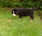 7 weeks 3