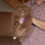 7 weeks 1