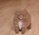 7 weeks 3