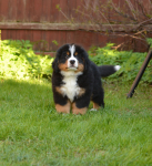 9 weeks