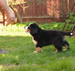 9 weeks 1
